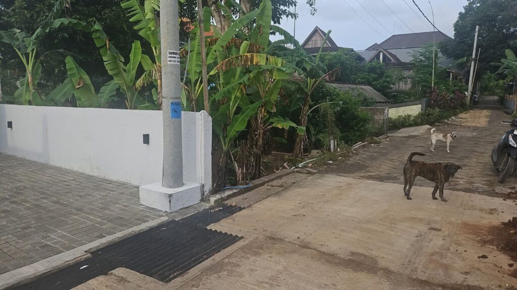Freehold Residential 3.5 Are Land for Sale Near Balangan Beach — photo 1