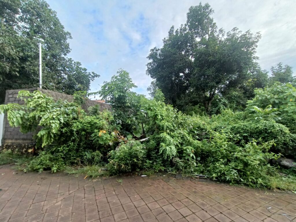 Large 12 Are Freehold Residential Land Near Balangan Beach — photo 3