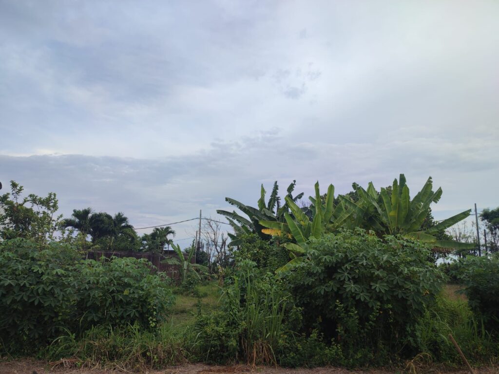 Prime 10 Are Freehold Pink Zone Plot Sanur | Walk to Beach — photo 6